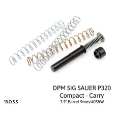 DPM, Spring Kit, Fits Sig Sau..